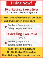 MARKETIN EXECUTIVE FOR ADVERTISEMENT AGENCY