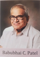 આગેવાનીના ગુણ  સાથે બાબુભાઇ પટેલ કેમીકલ ઇન્ડસ્ટ્રીઝ અને પર્યાવરણ સુરક્ષા ક્ષેત્રે 63 વર્ષનો લાંબો અનુભવ ધરાવે છે