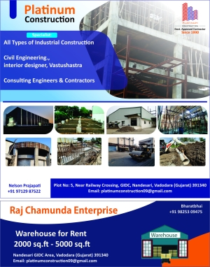PLATINUM CONSTRUCTION